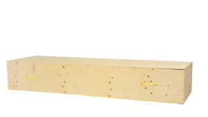 Plywood Cremation Container