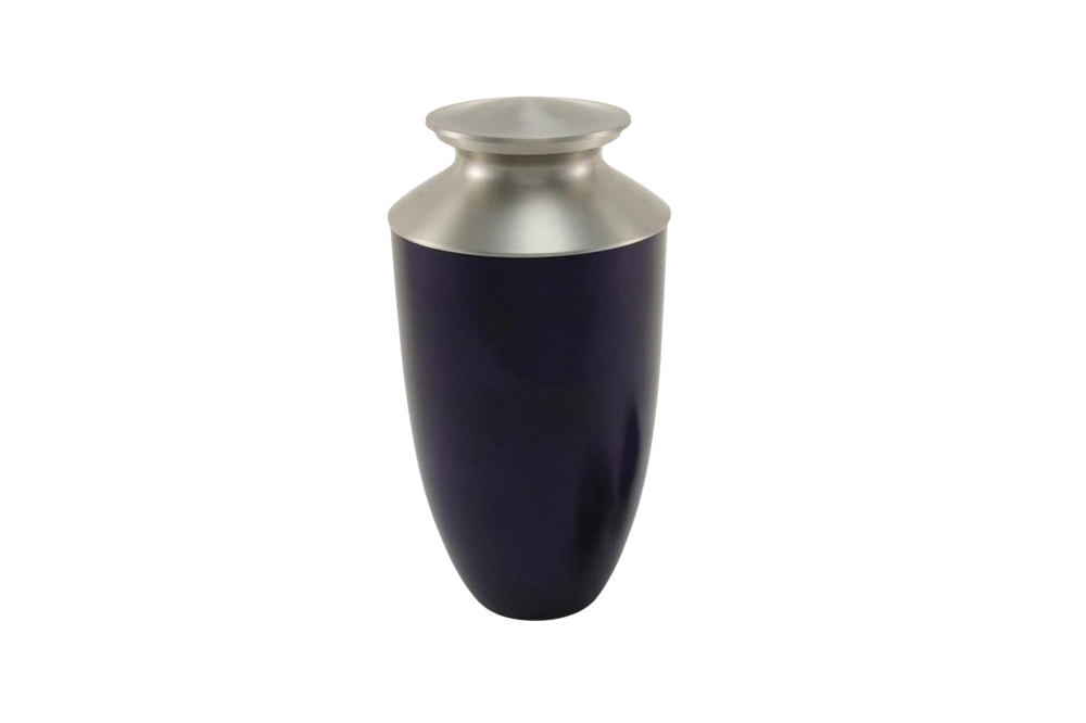Monterey Purple